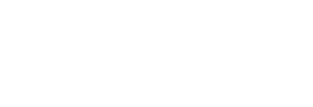 Tom Vision